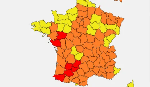 Alerte au pollen sur le Grand Sud