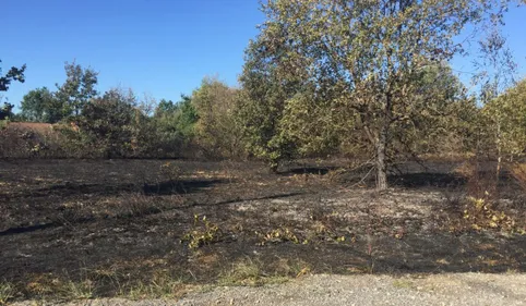 Pyromane de Villaudric : les habitants entre peur et suspicion  