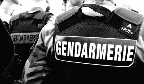 Les gendarmes démantèlent un vaste réseau d'escrocs entre Toulouse,...