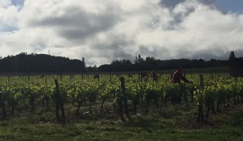 Montans: solidarité au Domaine Carcenac