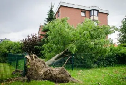 Rétrospective 2015 : Montauban touché par la tempête 