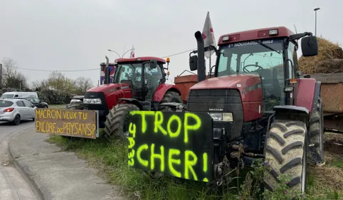 "L’agriculture haut-garonnaise est à genoux" : les Jeunes...