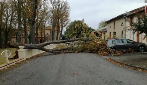 Barbara a soufflé sur la région : arbres au sol, trafic SNCF et...