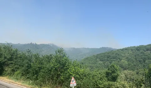 Gros incendie près d'Albi : des évacuations en cours 