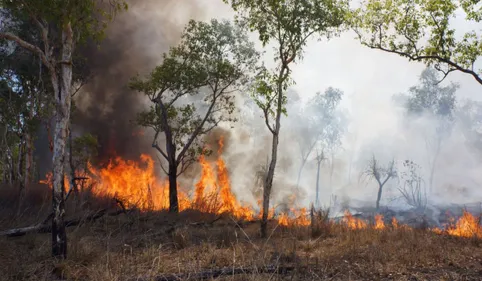 Tarn : l’incendie de Rayssac fixé, les pompiers encore sur place