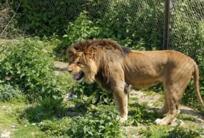 Interdiction d'ouvrir pour le zoo des Trois Vallées