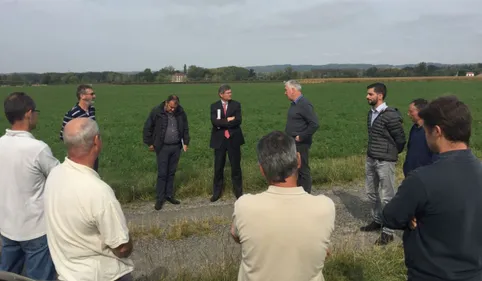 Opération glyphosate aussi à Montans 