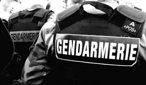 Grosse opération anti-stupéfiants des gendarmes près de Toulouse 