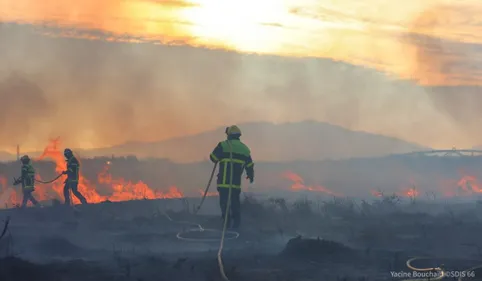 60 hectares de végétation brûlés à Torreilles après un important...