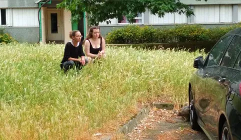 Castres. Au Petit Train, les chats errants ont leurs anges gardiennes