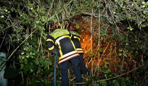 2 hectares de végétation partis en fumée après un incendie à...