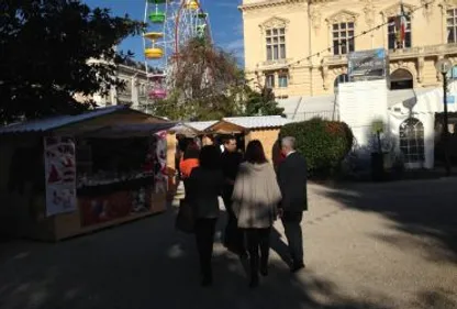 Féérie de Noël à Tarbes