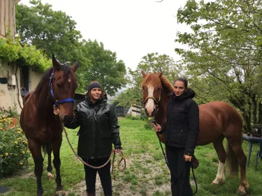 500 km à cheval dans le Tarn