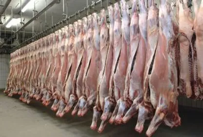 L'abattoir de Montauban en redressement 