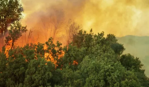 Incendies suspects dans les PO : l'appel à la vigilance