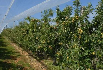 Un élu audois veut réformer l'agriculture européenne