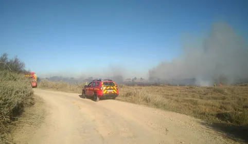 Deux gros feux de végétation se déclarent en simultané à Torreilles...
