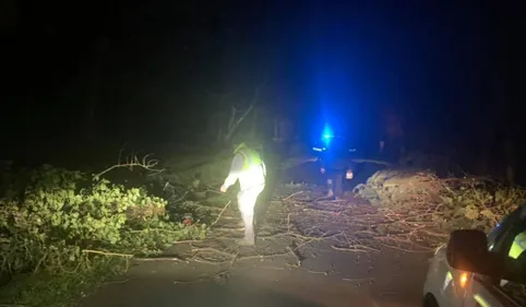 Vent violent : des rafales jusqu'à 120 km/h sur le Tarn, l'Aude et...