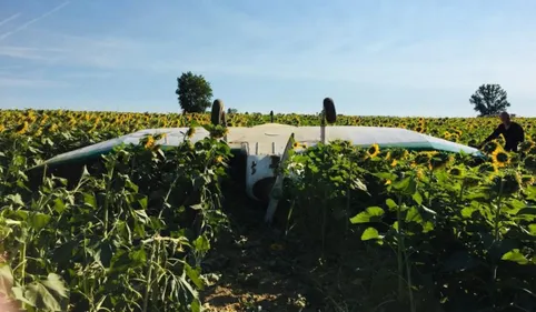 Un aéronef atterrit dans un champ de tournesols près de Toulouse