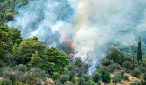 incendies en série : La préfecture du Tarn appelle à la vigilance 