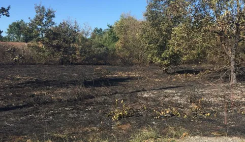 Incendies de Villaudric : un individu interpellé par les gendarmes 