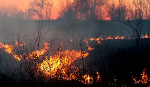 Des incendies dans le Gard