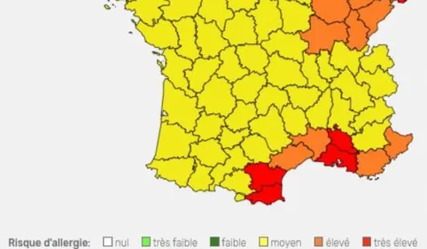 Vigilance allergique rouge au pollen dans les Pyrénées-Orientales...