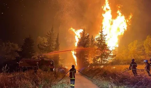 Incendie fixé au massif de l'Alaric : les flammes auront brulé plus...