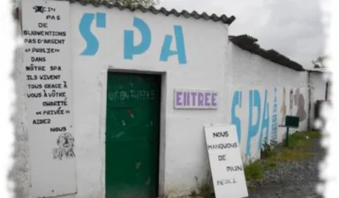 INFO 100% : l'appel au secours de la SPA de Tarbes