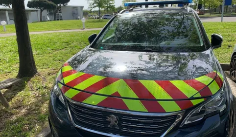 Accident mortel près de Toulouse : les gendarmes lancent un appel à...