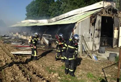 Ibos : 4.000 poussins périssent dans l'incendie