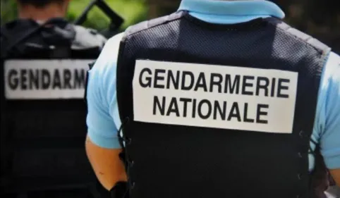 50 kg de cannabis et des armes de guerre saisis par les gendarmes...