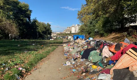 Toulouse. "On a peur des souris quand on dort" témoigne Elisa,...