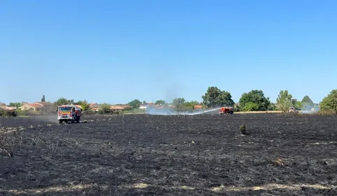 15 hectares de brulés près de Toulouse après deux incendies  