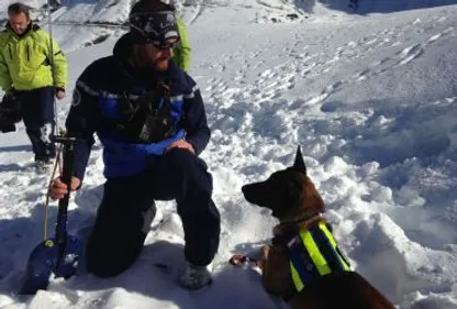 Caïro : le chien sauveur