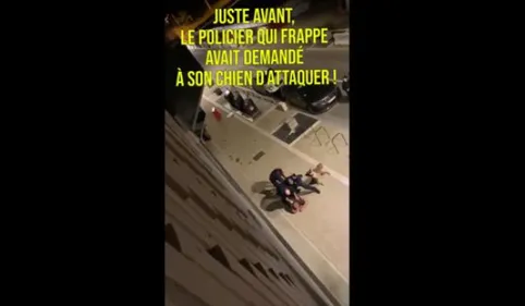 Toulouse : une vidéo met en scène une interpellation musclée, les...