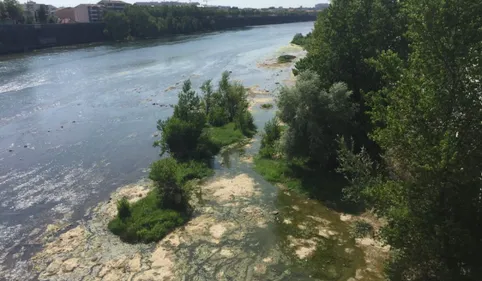 Sécheresse : comment le canal de St Martory se modernise pour ne...