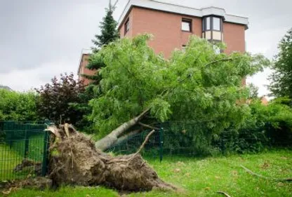 La tempête Zeus balaye la région 