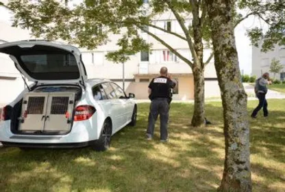 Armes et explosifs saisis à Castres