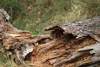 Un an près la tempête, le Tarn et Garonne se souvient