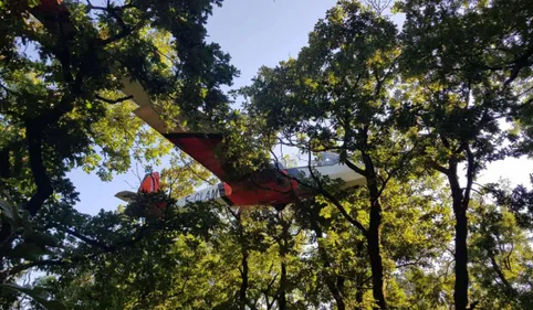 INSOLITE : le planeur atterrit sur la cime des arbres à...