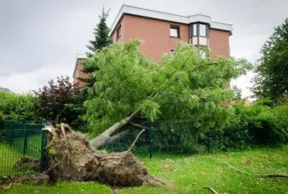 Les orages s'abattent sur le département