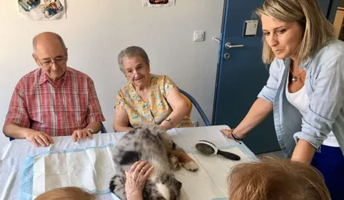 Un chien pour aider les malades 