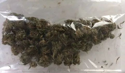 Plus de 2 kg de marijuana saisis à Tarbes 
