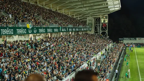 Top 14 : Pau se maintient, l'USAP attendra l'acces-match