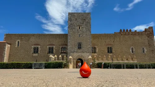 PYRÉNÉES-ORIENTALES : DON DE SANG AU PALAIS DES ROIS DE MAJORQUE