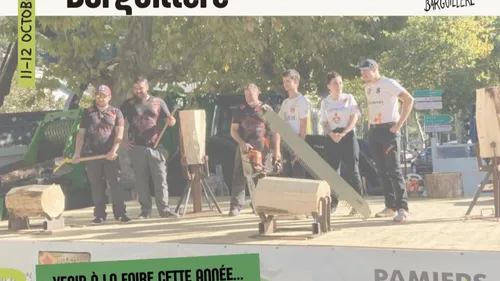 La Foire de la Barguillère à Foix (09)