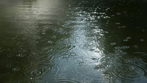 TARN : Des cyanobactéries signalées au plan d’eau de Rabastens