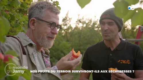 Pyrénées-Orientales : Jamy Gourmaud face à la détresse des...