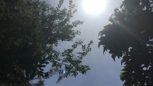 HAUTE-GARONNE: préparez-vous à suffoquer, un nouveau pic de chaleur...